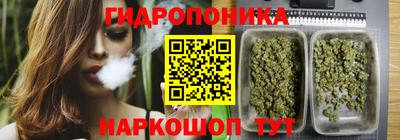 тгк Лесосибирск