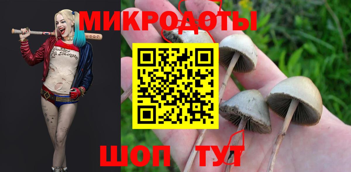 Галлюциногенные грибы прущие грибы Гусь-Хрустальный